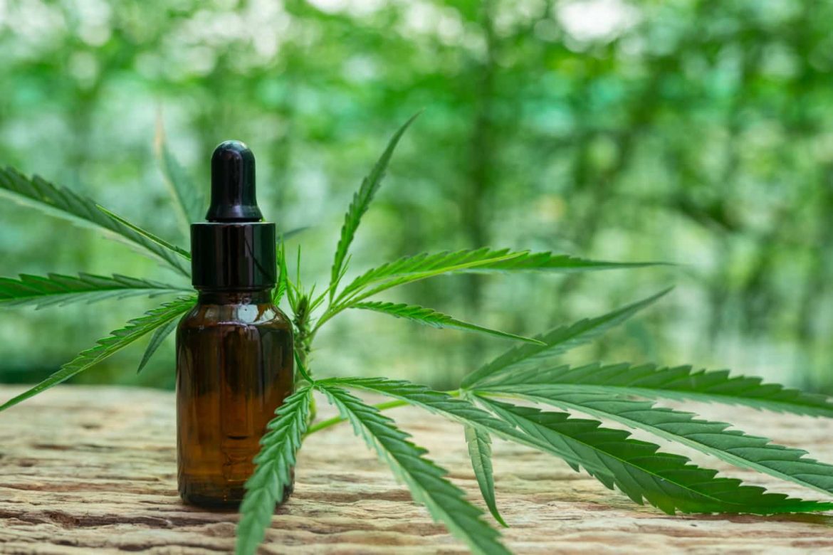 Cannabidiol légal en France