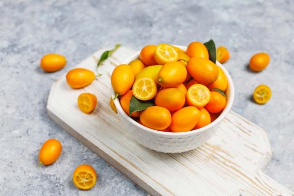 kumquat